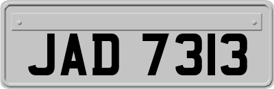 JAD7313