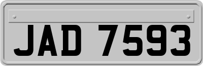 JAD7593