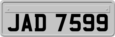 JAD7599
