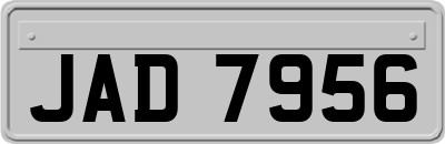 JAD7956