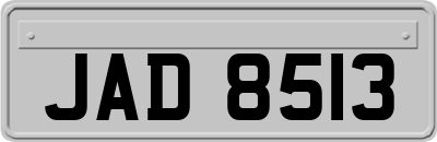 JAD8513