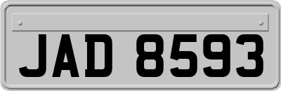 JAD8593