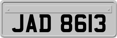 JAD8613