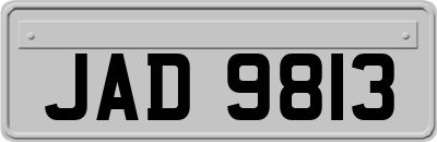 JAD9813