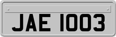 JAE1003