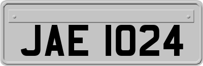 JAE1024