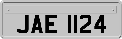 JAE1124