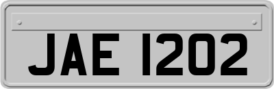 JAE1202