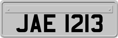 JAE1213