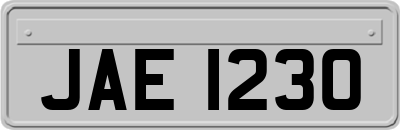 JAE1230