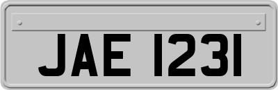JAE1231