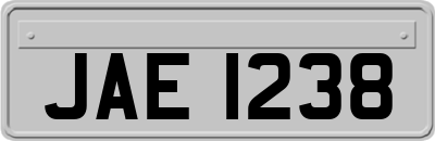 JAE1238