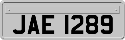 JAE1289