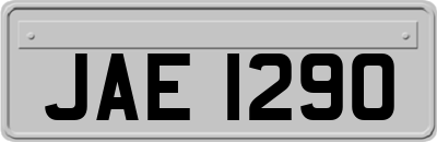 JAE1290