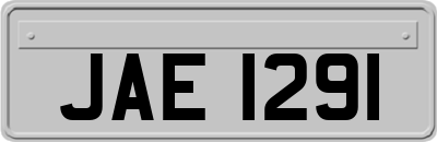 JAE1291
