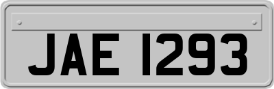 JAE1293