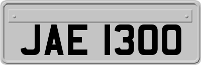 JAE1300