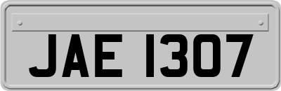 JAE1307