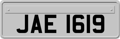 JAE1619