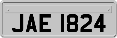 JAE1824