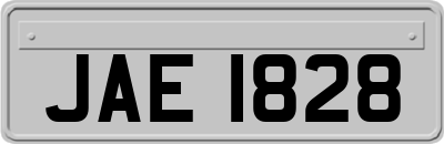 JAE1828