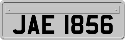 JAE1856