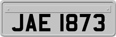 JAE1873