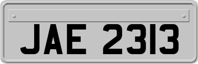 JAE2313