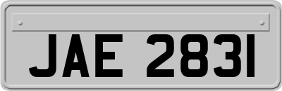 JAE2831
