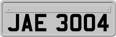JAE3004
