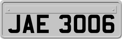 JAE3006