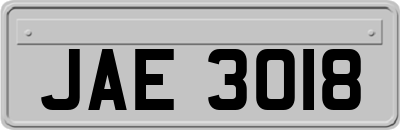 JAE3018