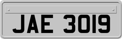 JAE3019