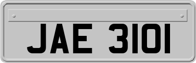 JAE3101