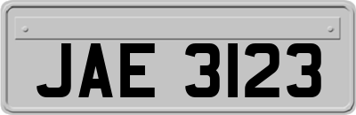 JAE3123