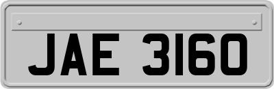 JAE3160