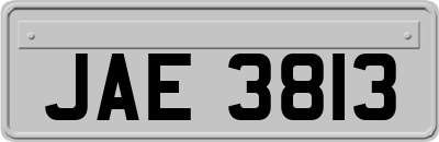 JAE3813