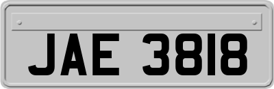 JAE3818