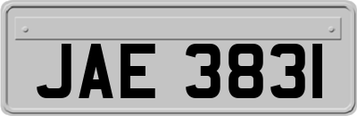 JAE3831