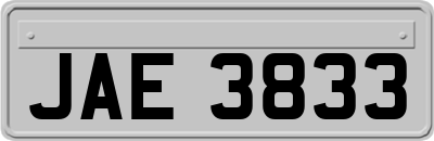 JAE3833