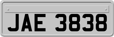 JAE3838
