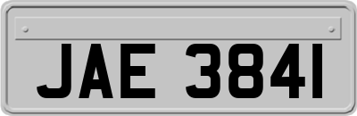 JAE3841