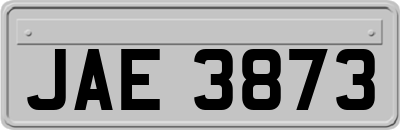 JAE3873
