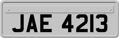 JAE4213