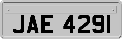 JAE4291