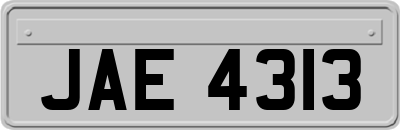 JAE4313