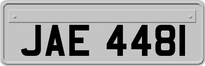 JAE4481