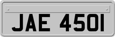 JAE4501