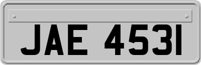 JAE4531