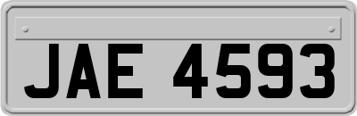 JAE4593